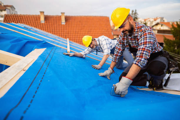 Best Roof Ventilation Installation  in Walworth, WI