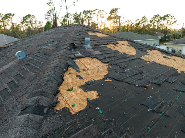 Best Tile Roofing Installation  in Walworth, WI