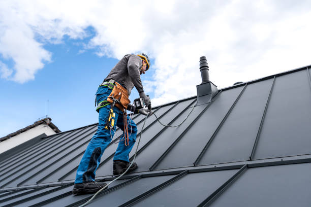 Best Rubber Roofing (EPDM, TPO)  in Walworth, WI